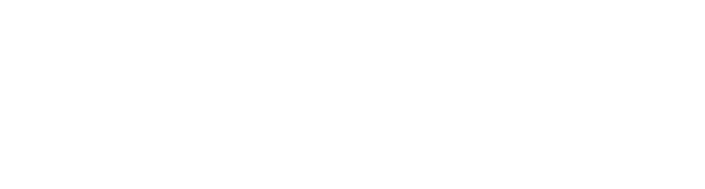 JOSPT-2
