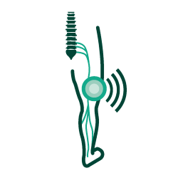 image-asset